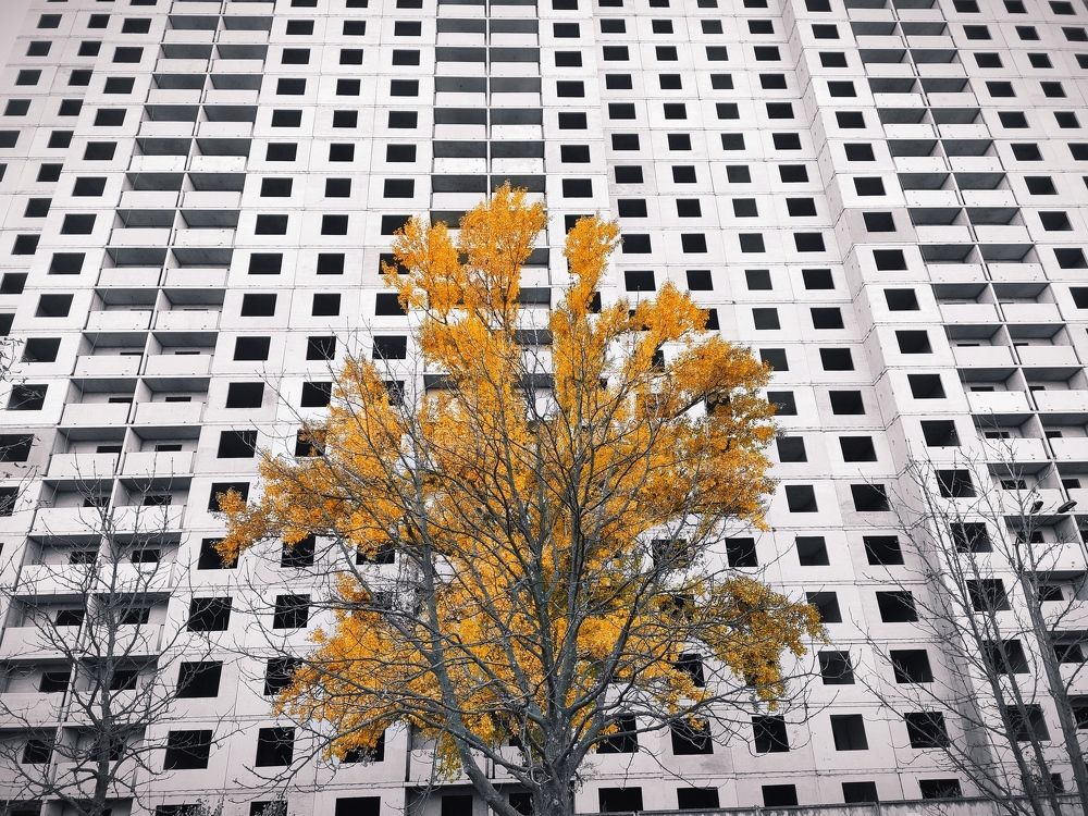 Фотография автора Марина Спильнык