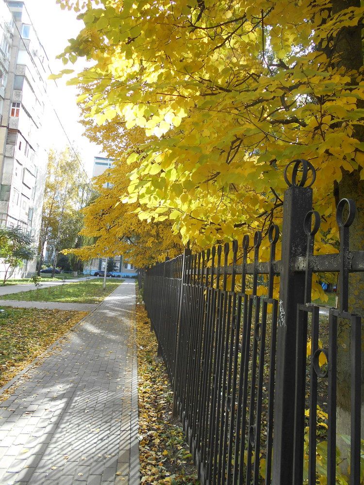 Photograph by Наталья Галай