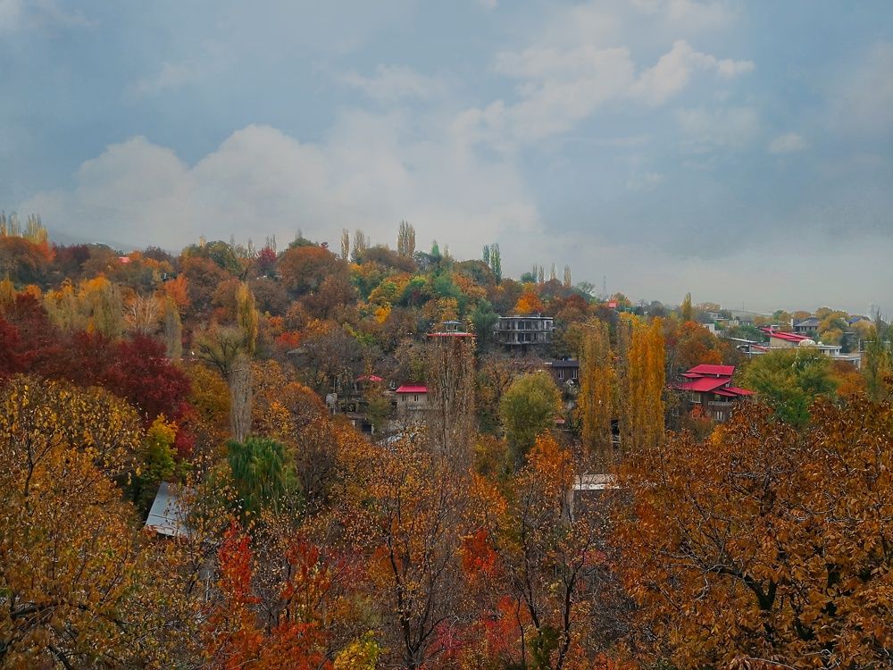 Фотография автора Zahra Seyedmorti