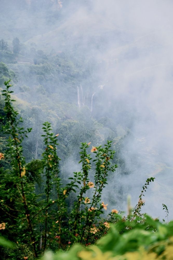 Photograph by Аида Фай