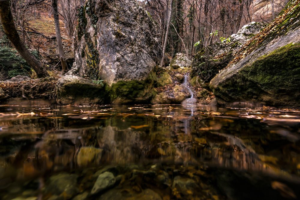 Photograph by Валерий Лейко