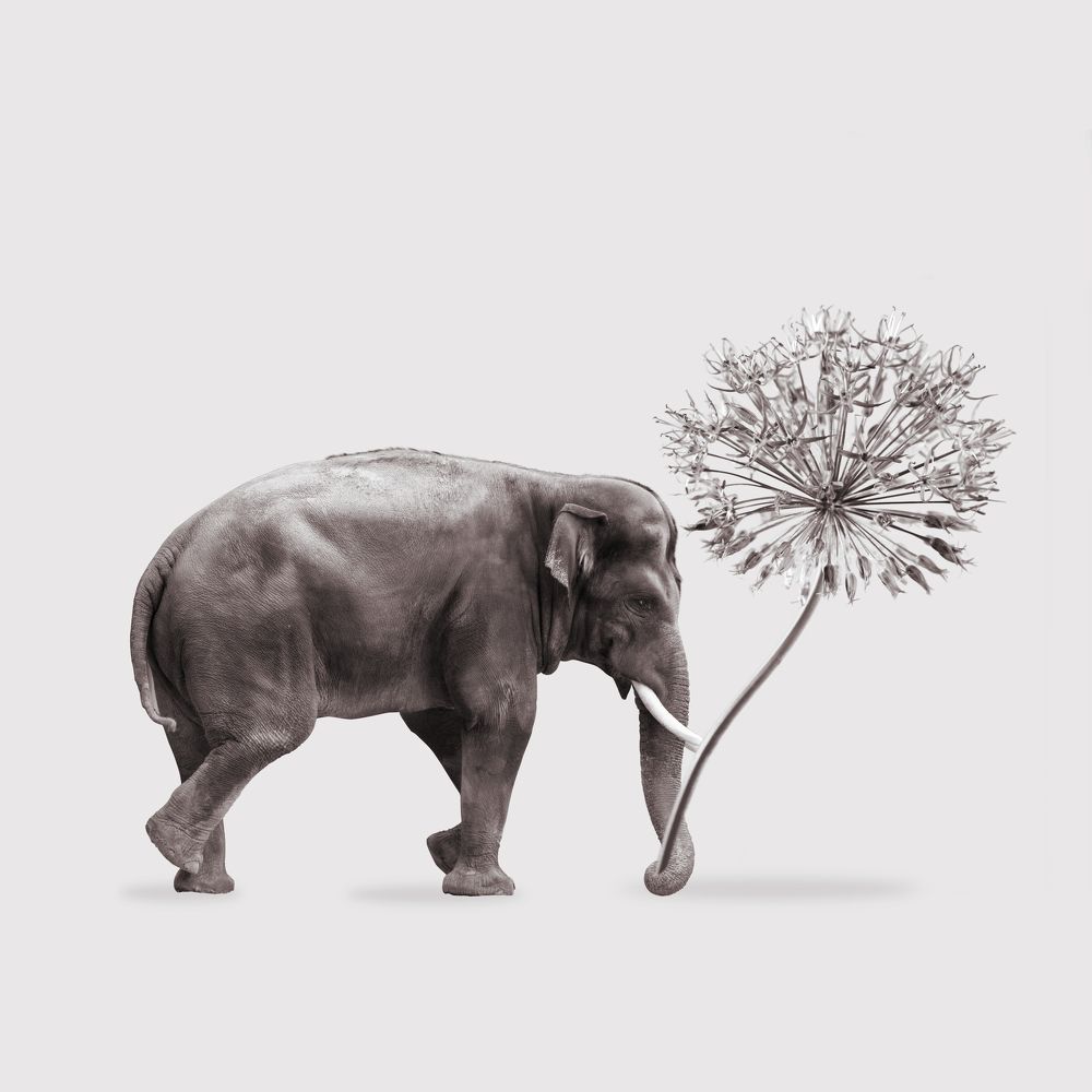 Photograph by Анна Айбетова