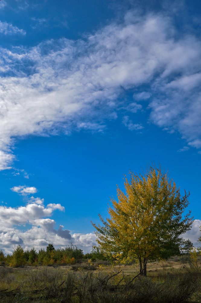 Photograph by Ольга Савина