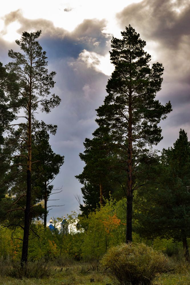 Photograph by Ольга Савина