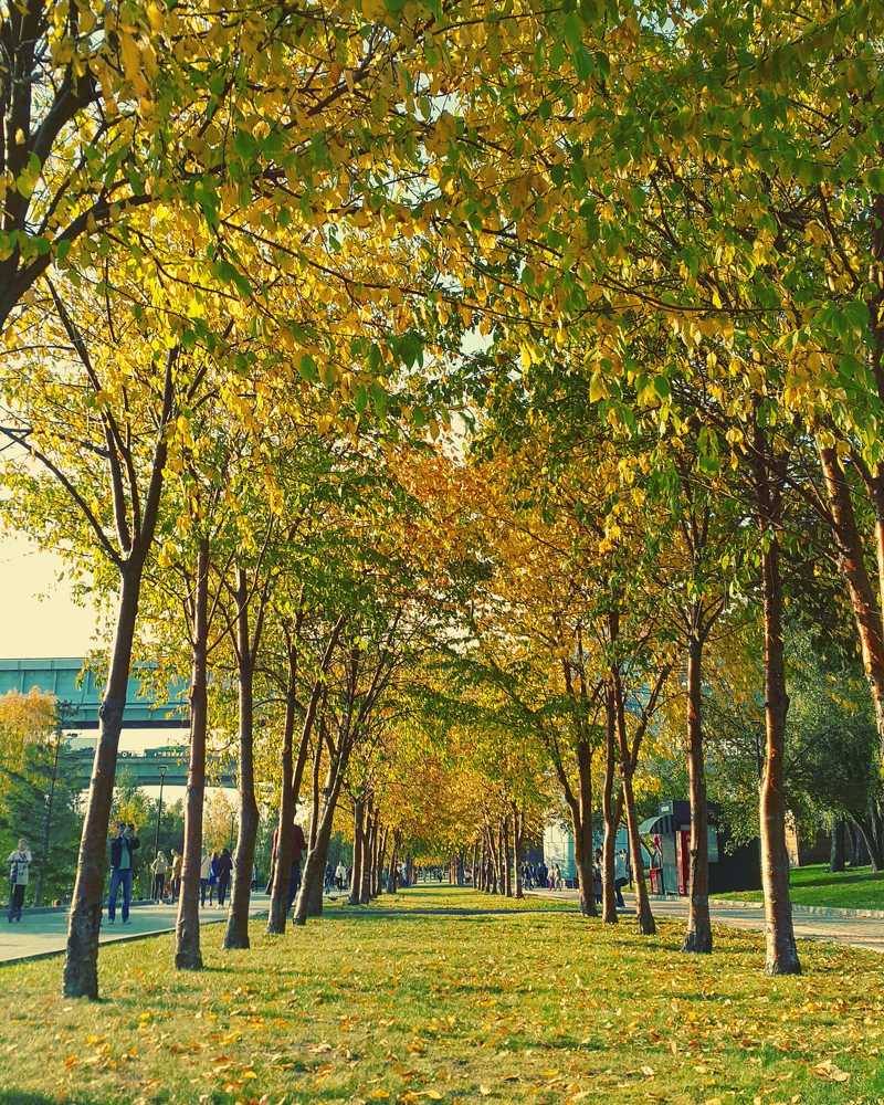 Photograph by Prima Warda