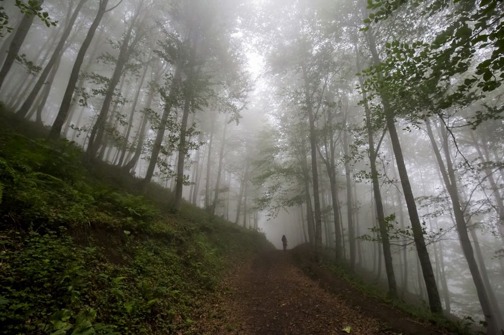 Photograph by ERDEM ARIF YIGIT