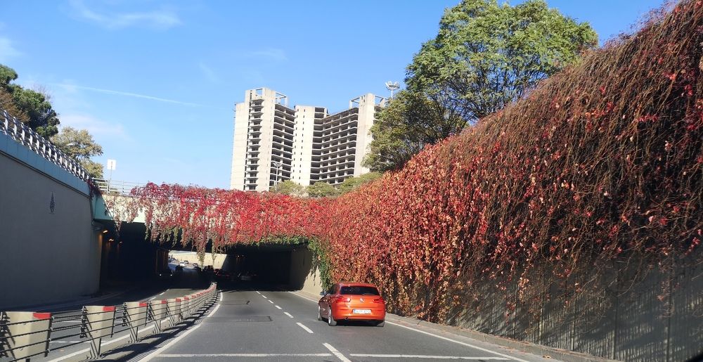 Photograph by Cengiz Sakarya