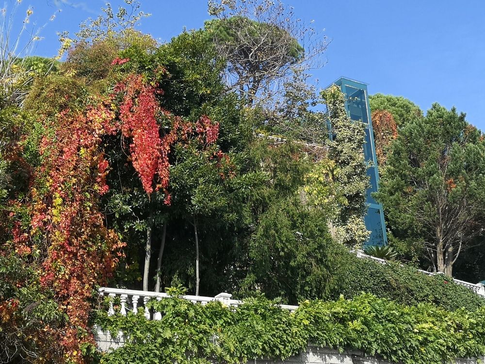 Photograph by Cengiz Sakarya