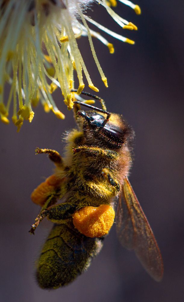 Photograph by Вячеслав Смеликов