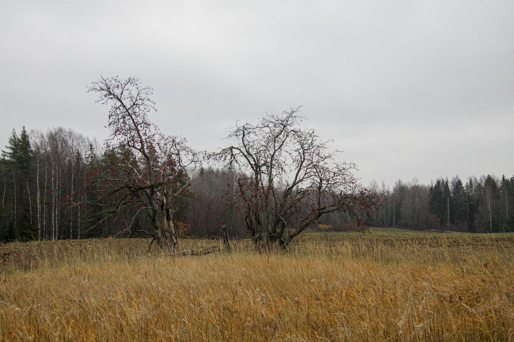 Photograph by Mihail Voronin