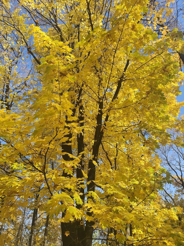 Photograph by Дмитрий Плотников