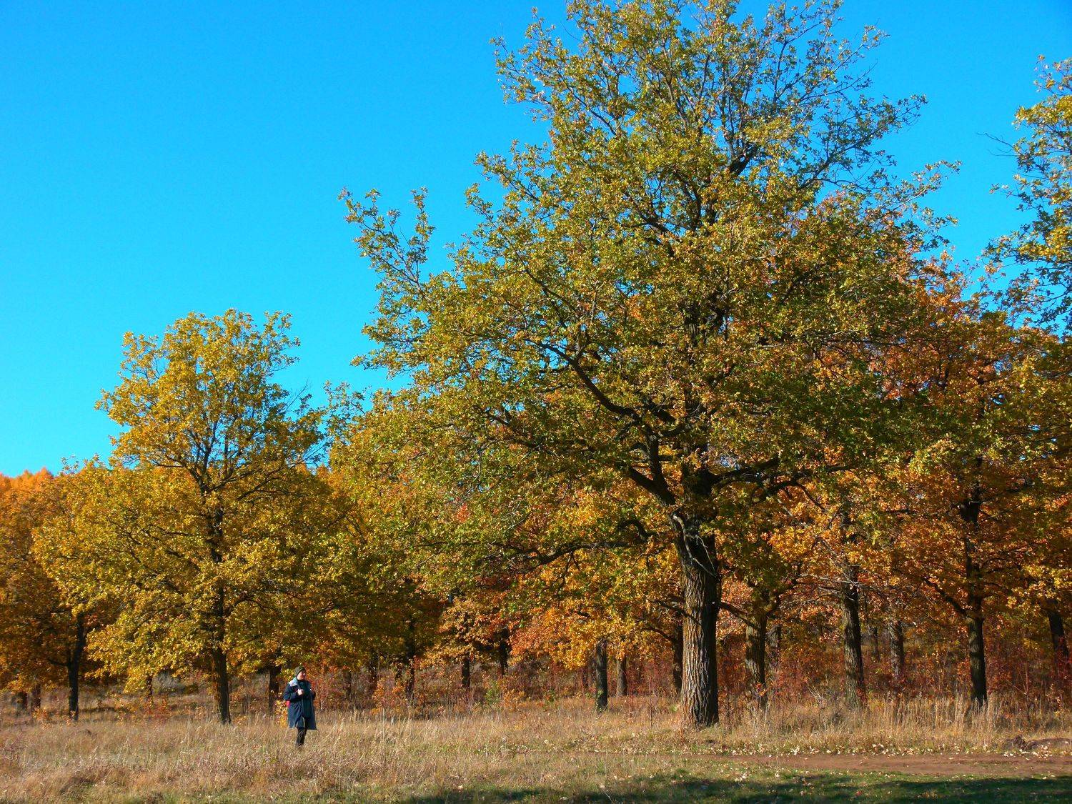 Photo #6756200
