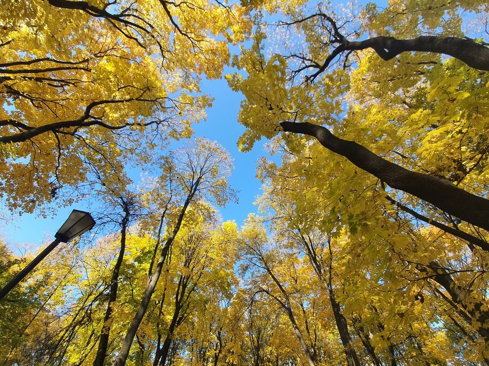 Photograph by Дмитрий Плотников