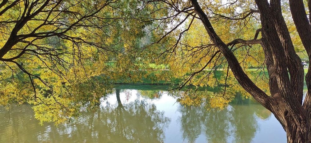 Photograph by Галина