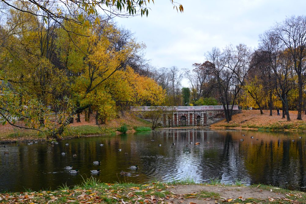 Photograph by Анатолий Орлов