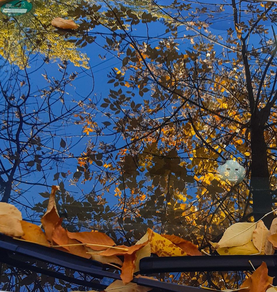 Photograph by Людмила