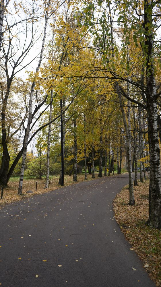 Photograph by Сергей Пимонов