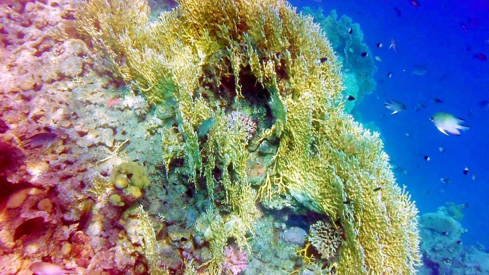 Photograph by Игорь Лотыш