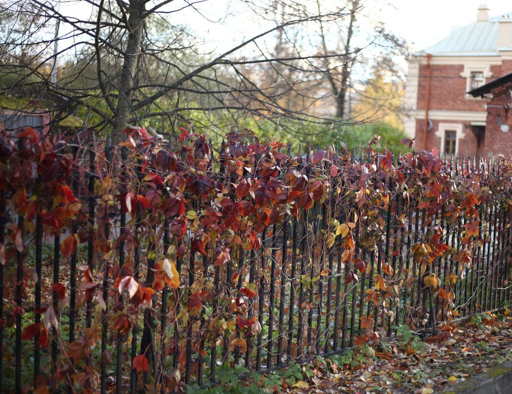 Photograph by Галина