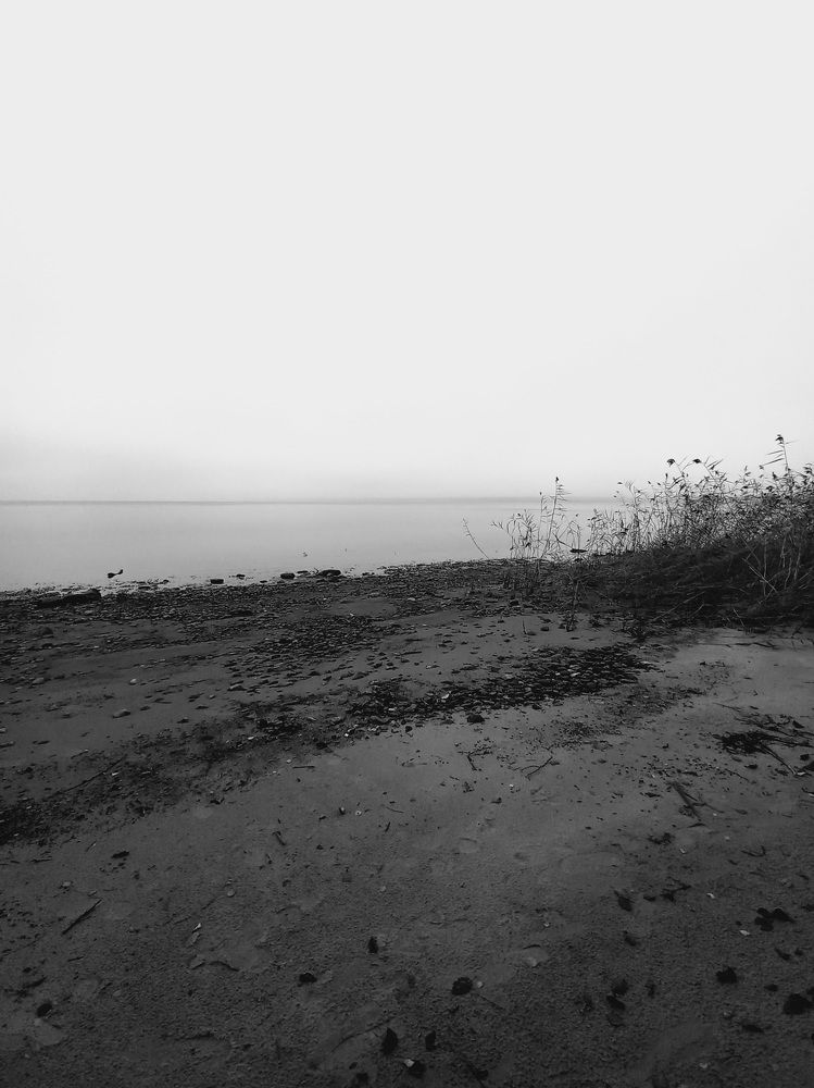 Photograph by Зоя