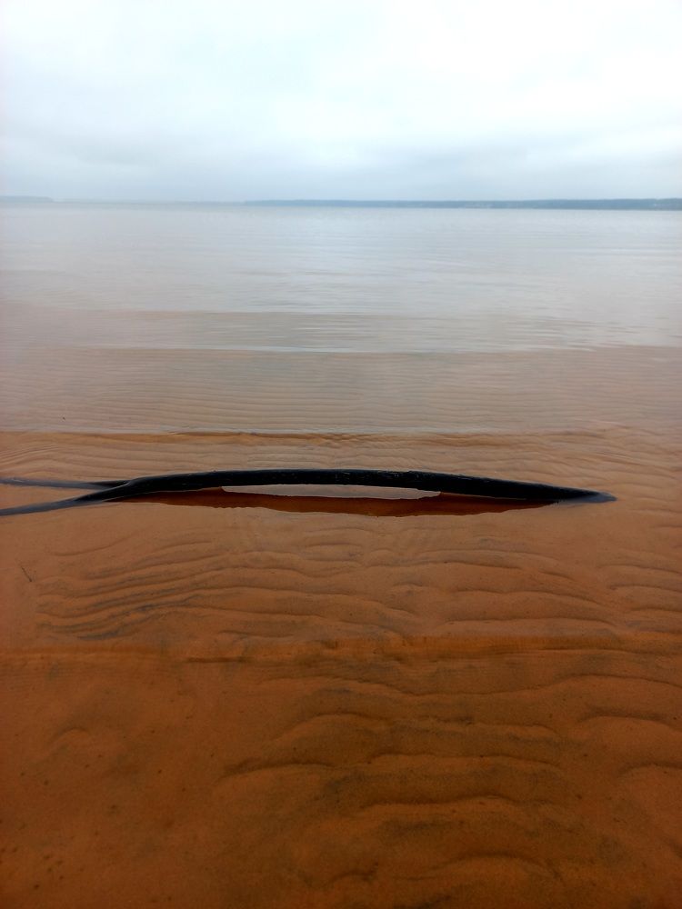 Photograph by Зоя