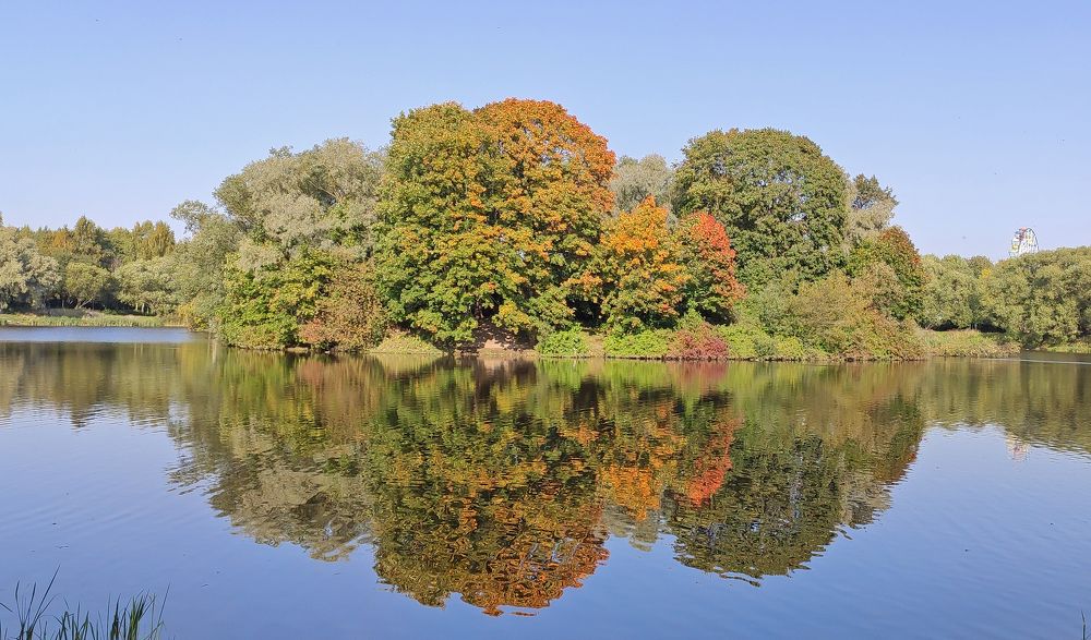 Photograph by Галина