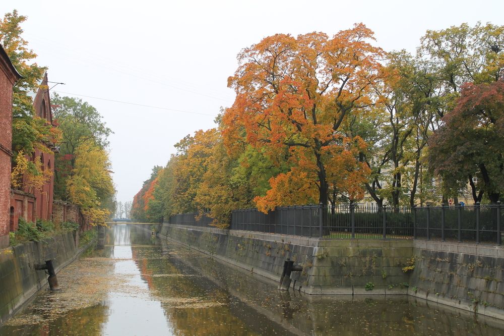 Photograph by Галина