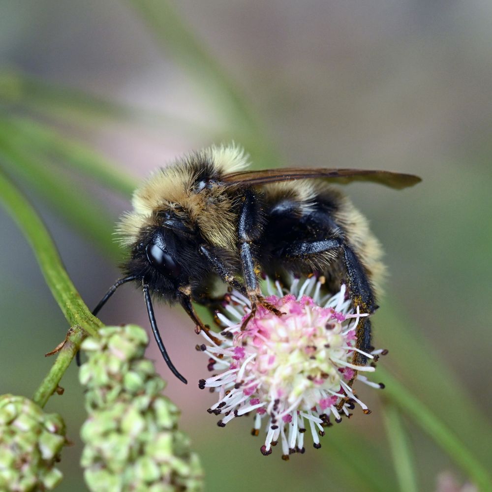 Photograph by Алексей Гордеев