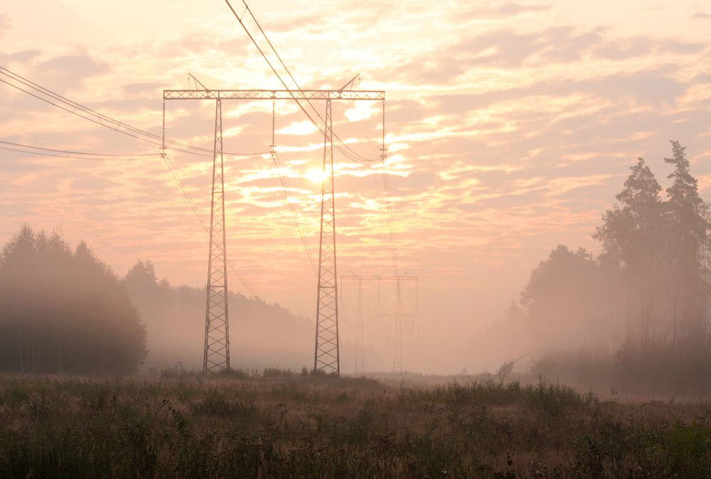 розовый туман