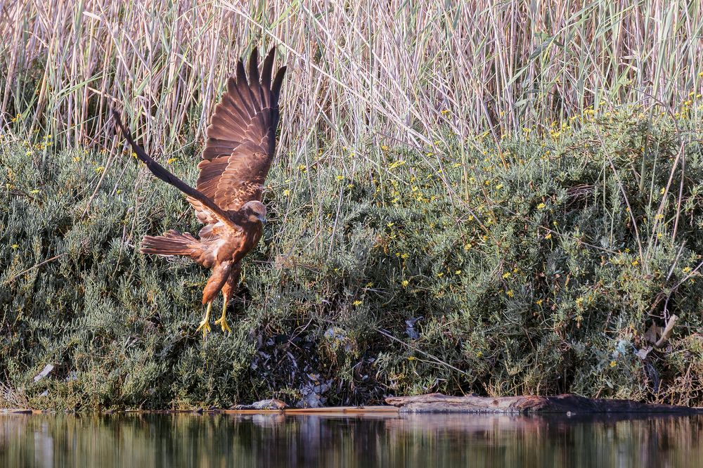 Photograph by Fabio Cartelli