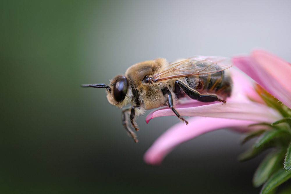 Photograph by Olga von Dahm