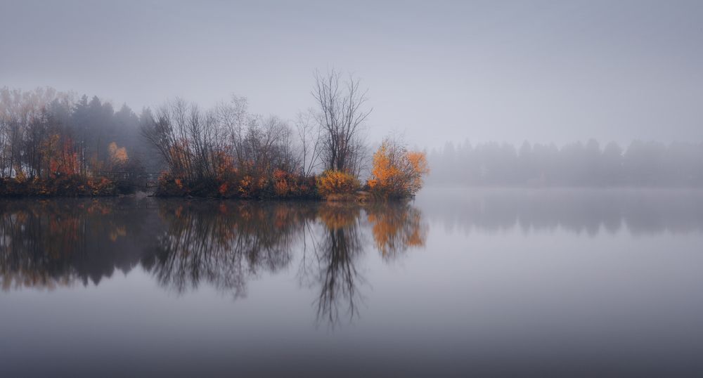 Photograph by Iris Lara