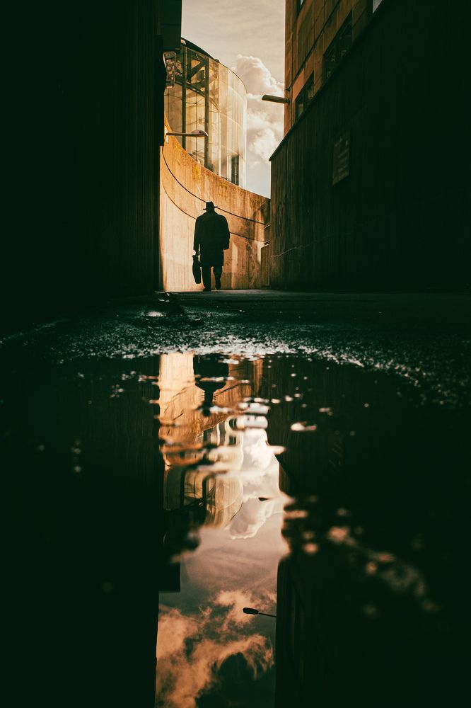 Photograph by Selaru Ovidiu