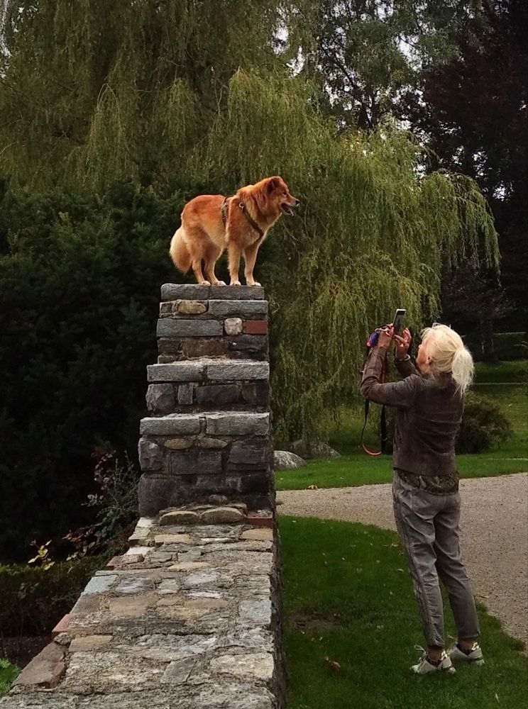 Очаровательный Позёр