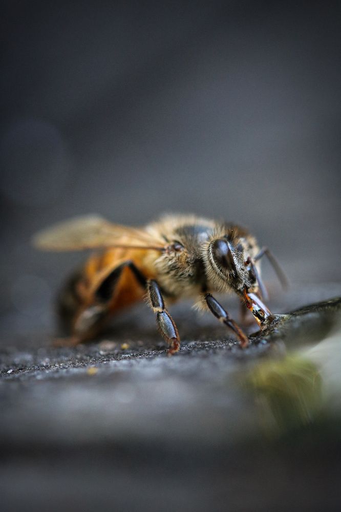 Photograph by Olga von Dahm