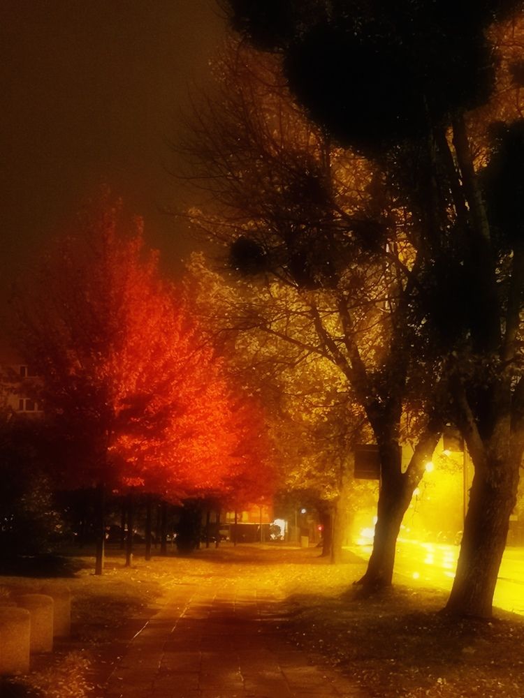 Photograph by Jorge Barriga