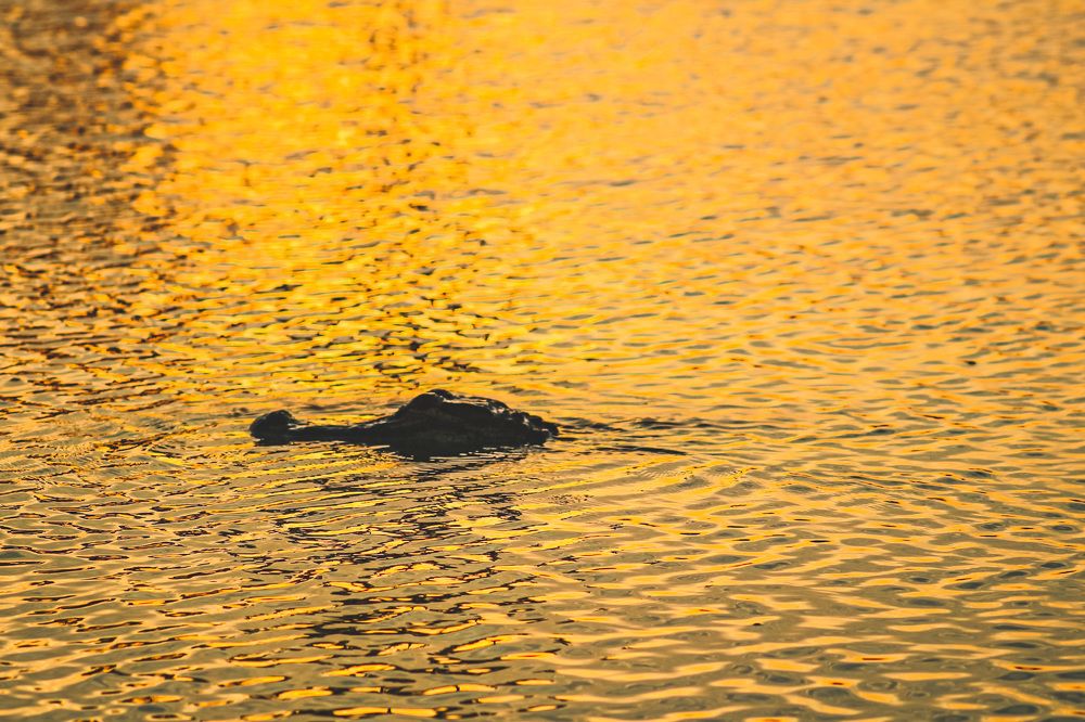 Photograph by Olga von Dahm