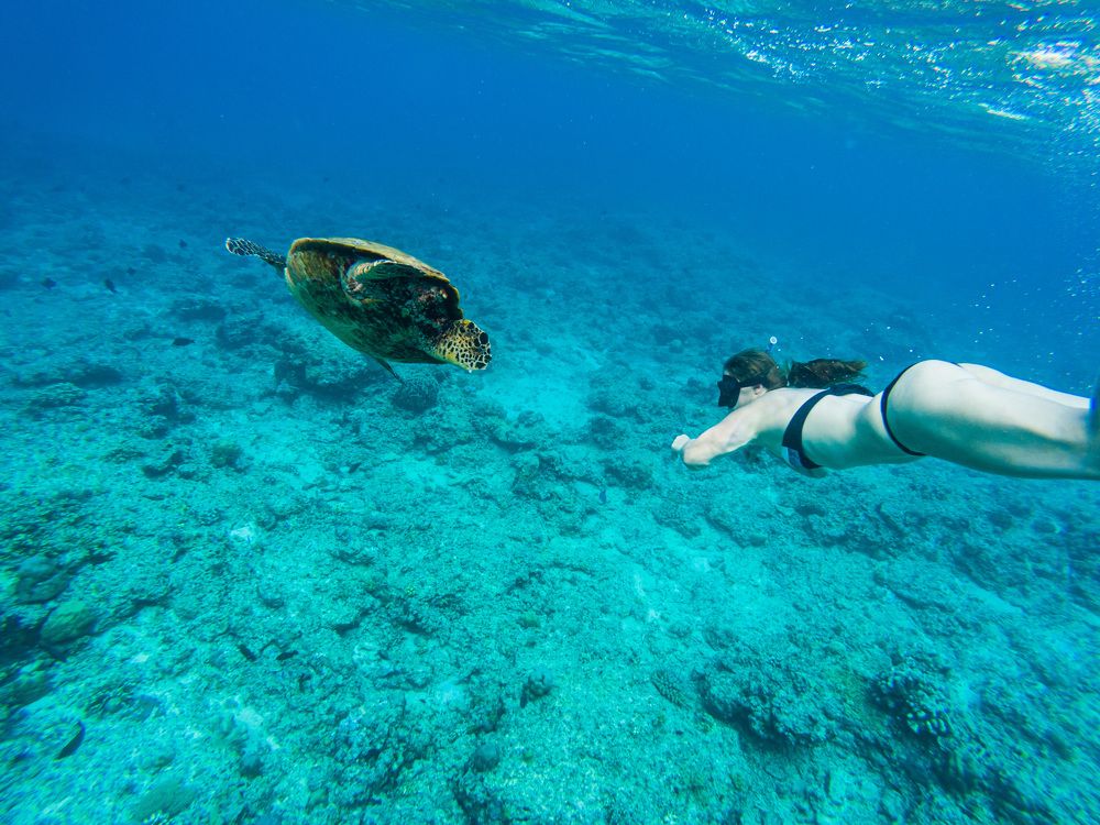 Photograph by Agnieszka Wieczorek