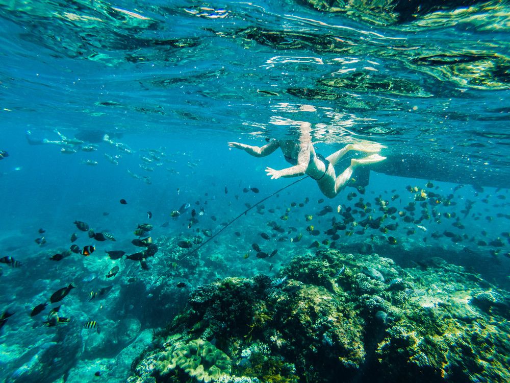 Photograph by Agnieszka Wieczorek