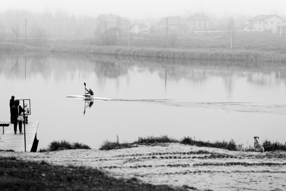 Viewers of loneliness.