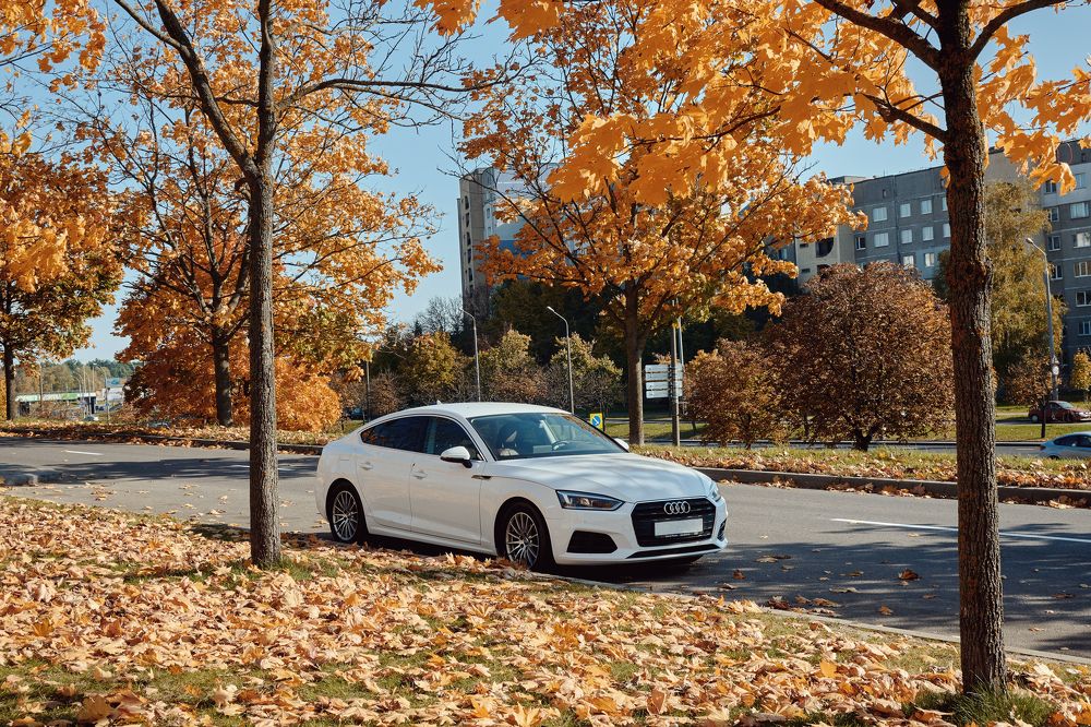 Photograph by Валерий Зенович