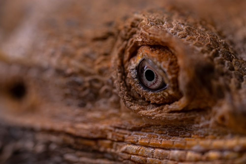 Photograph by Artur Tsvaygenbaum