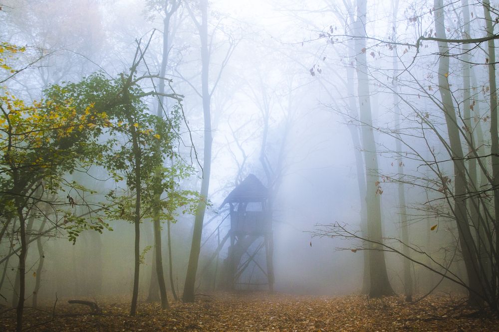 Photograph by Jana Vukomanovic