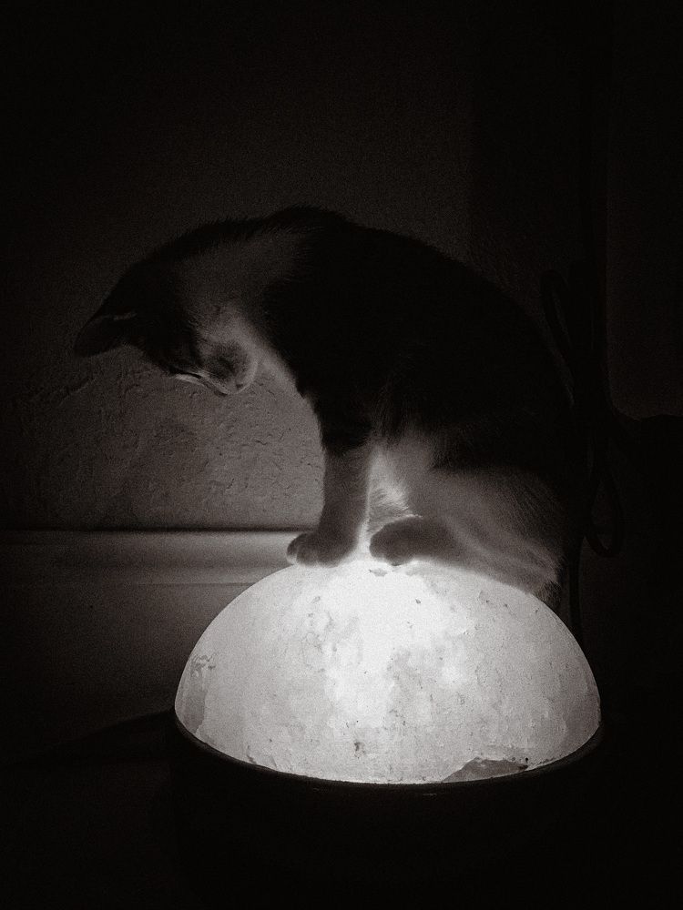 Photograph by Olga von Dahm