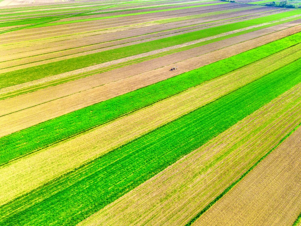 Photograph by Aleksei Kazakov