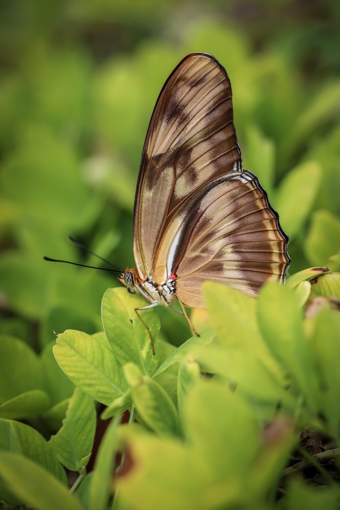 Photograph by Olga von Dahm