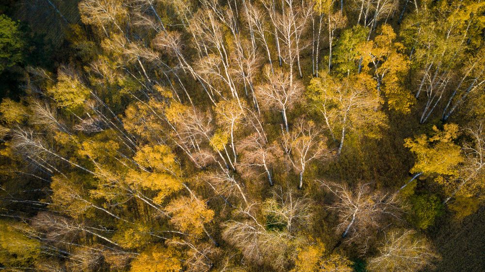 Фотография автора Виталий Гавронский
