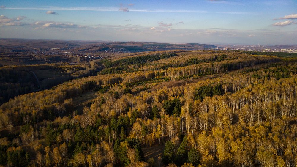 Фотография автора Виталий Гавронский