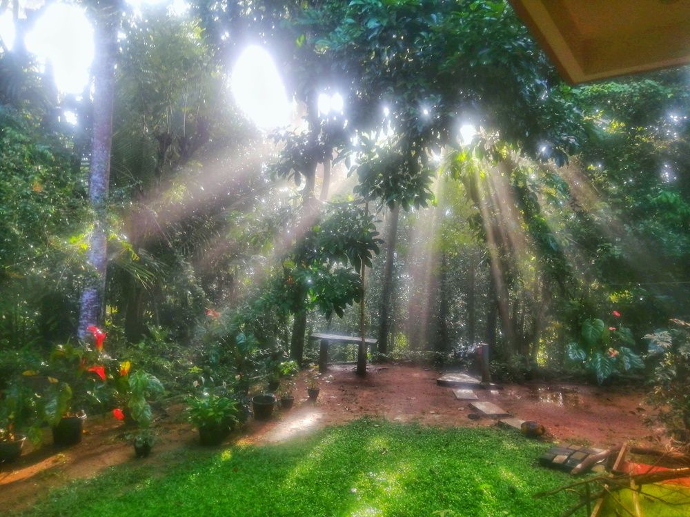 Photo #6756966