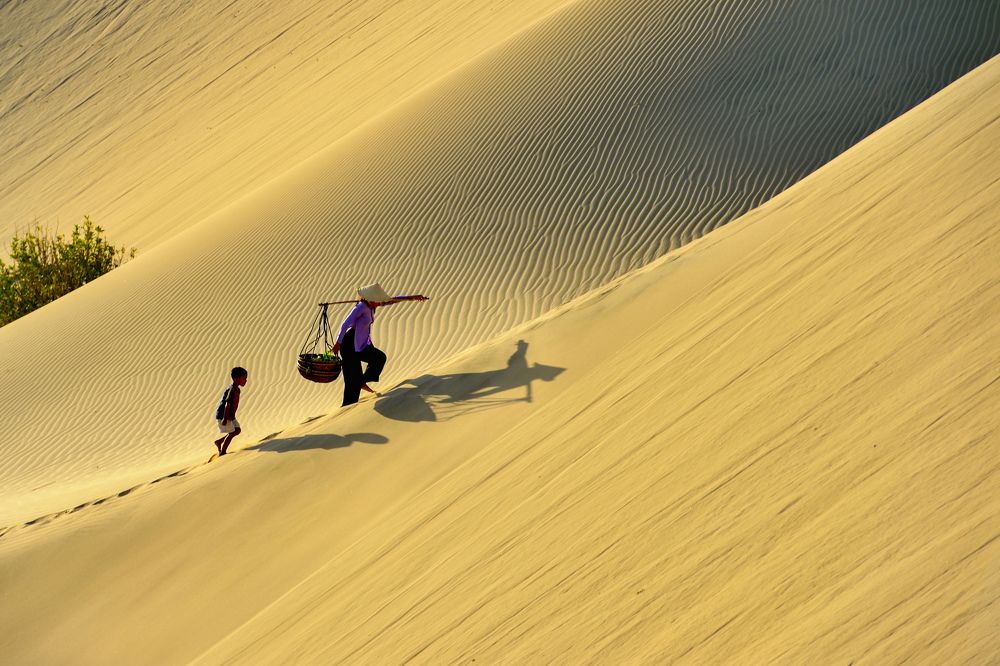 Photograph by toan nguyen phuoc